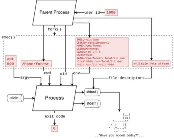 What is a Process? (Operating Systems)