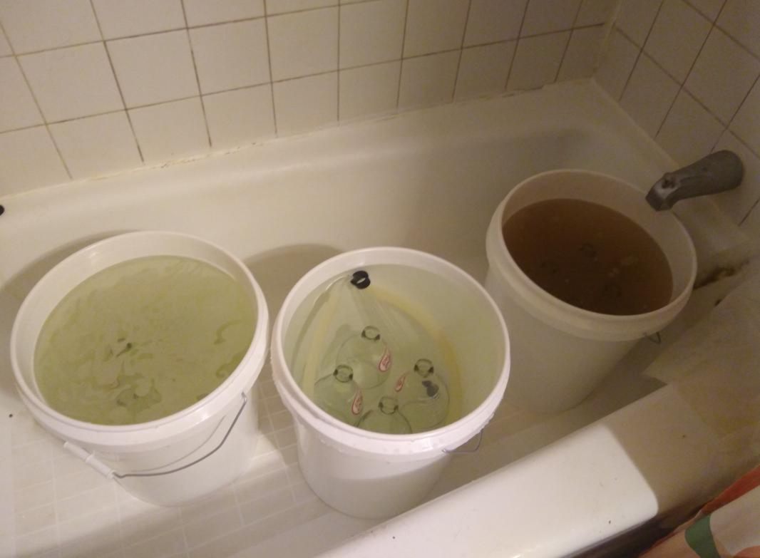 Three 5-gallon buckets in a bathtub. The left bucket has soap bubbles from the PBW. The middle bucket simply contains water, with the bottles and autosiphon visible under the surface. The bucket on the right has a faint coca-cola color from the Saniclean.